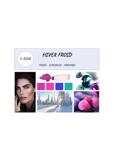 Couverture e-book Hiver froid